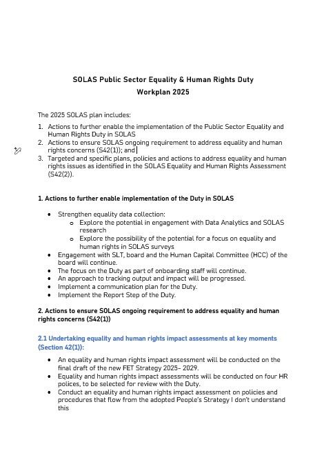 SOLAS Public Sector Equality Human Rights Duty Workplan 2025 